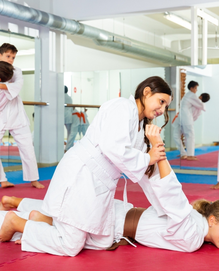 Judo 3